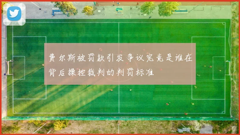 费尔斯被罚款引发争议究竟是谁在背后操控裁判的判罚标准