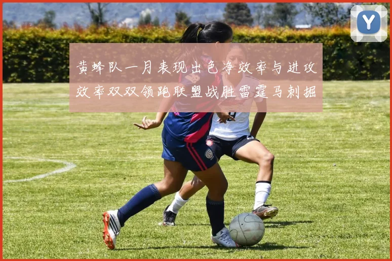 黄蜂队一月表现出色净效率与进攻效率双双领跑联盟战胜雷霆马刺掘金