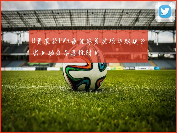 B费荣获FWA最佳球员奖项与球迷亲密互动分享喜悦时刻